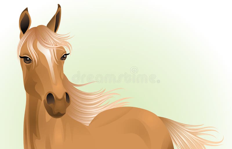 Retrato De Cavalo Feliz Sorrindo Rosto De Fazenda Vetor PNG