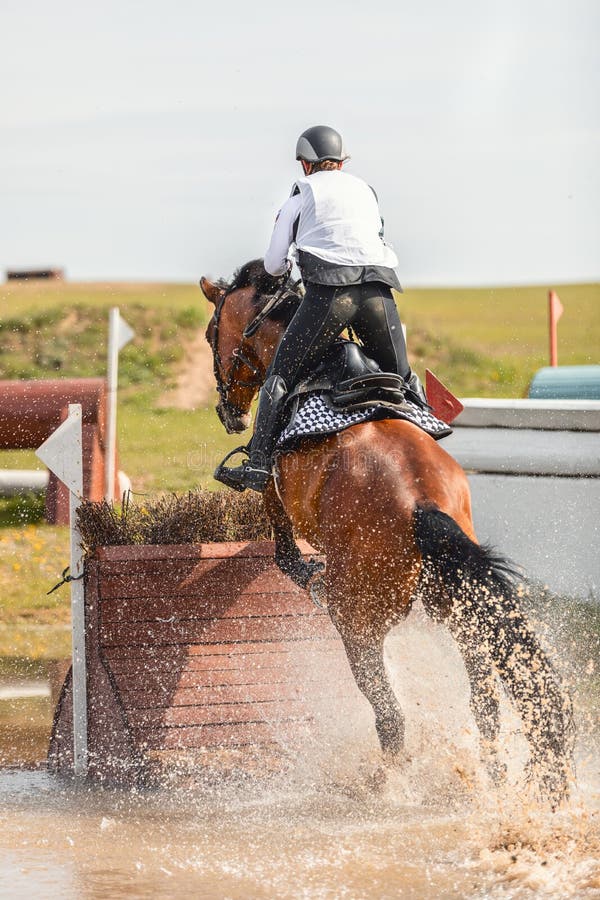 Foto De Stock Cavalo Pulando Cruz País Cerca