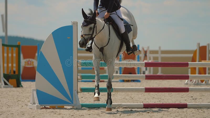 Mulher-cavalo Cavalgando a Cavalo Marrom E Pulando a Cerca Na Arena De  Sandy Parkour Salto De Treinamento Competitivo Filme - Vídeo de cantor,  mostra: 160093714