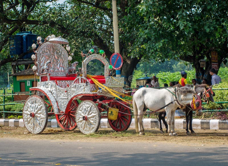 Cavalos aproveitados ao transporte em Kolkata, Índia foto de stock Cavalos aproveitados ao transporte em Kolkata, Índia foto de stock