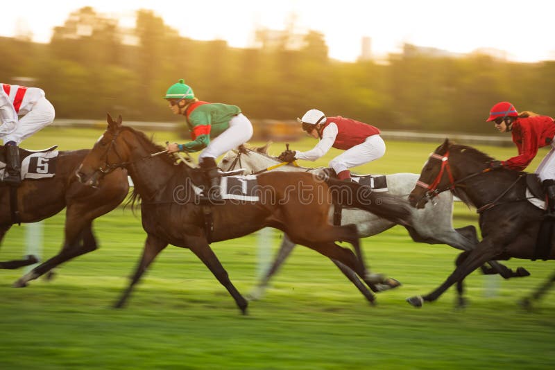 melhores casas de apostas trader esportivo