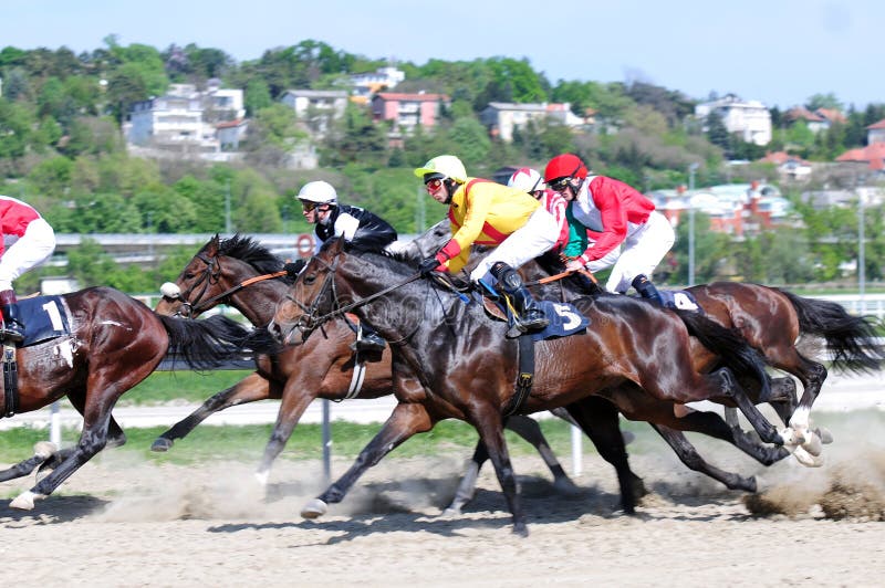 plataforma de apostas esportivas online