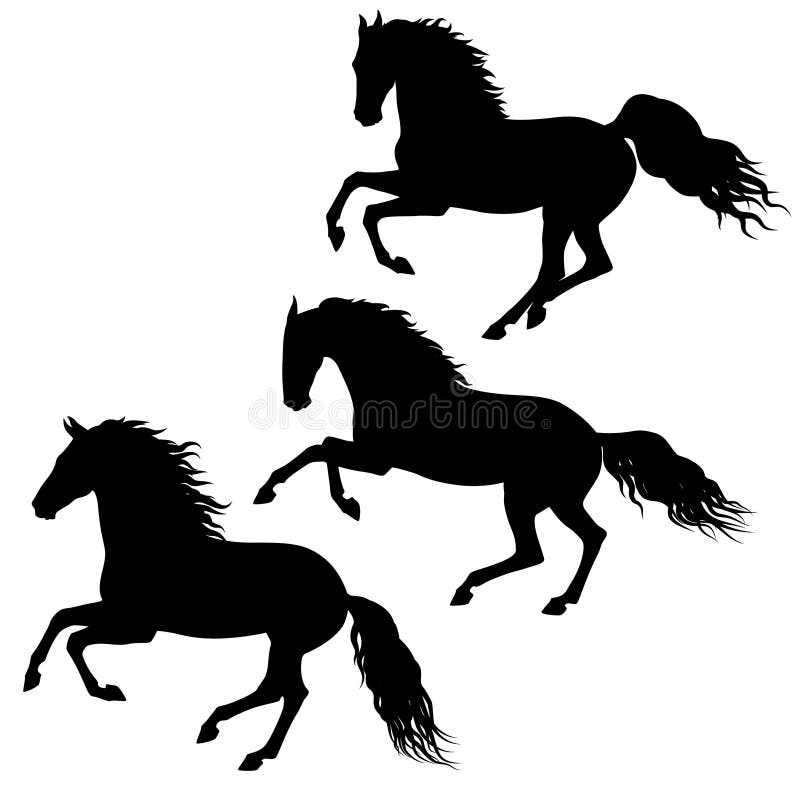 Three black running horses silhouettes isolated on white background. Three black running horses silhouettes isolated on white background