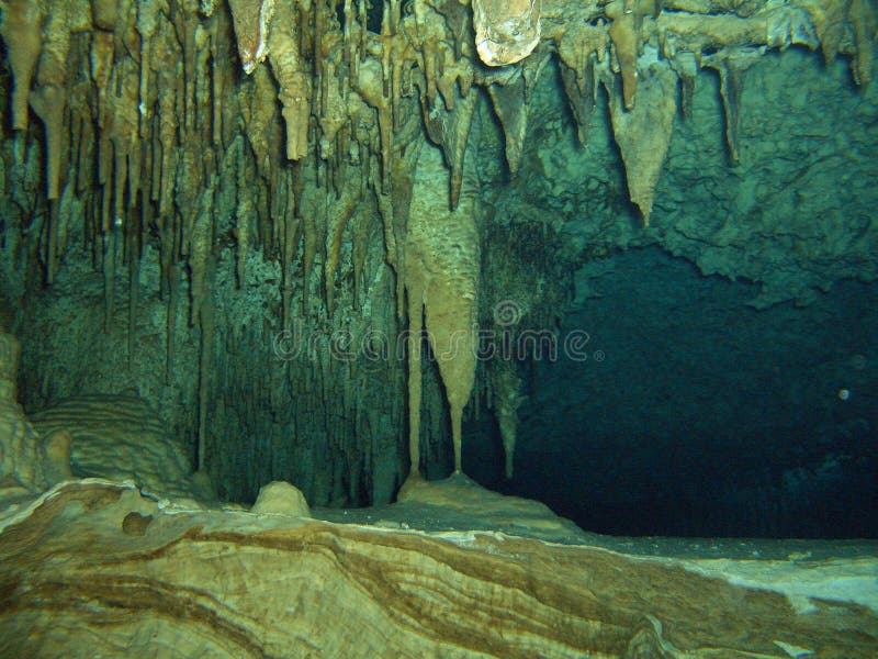 Murky Waters stock image. Image of diving, yucatan, cenotes - 5951145