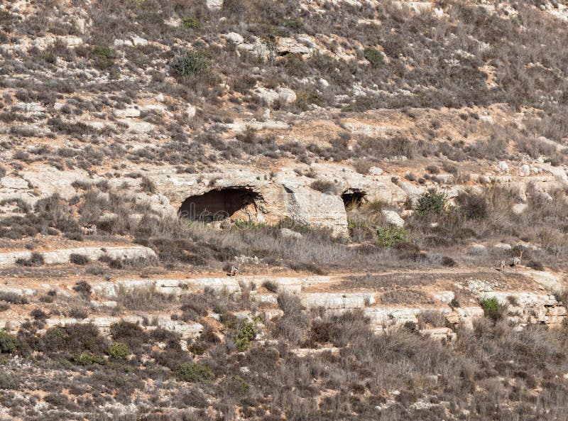 The Cave is the Home of People on the Side of the Mountain since the ...