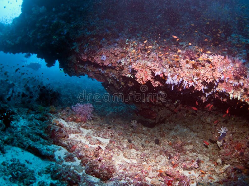 Cave Maldives stock image. Image of active, ocean, explore 20487253