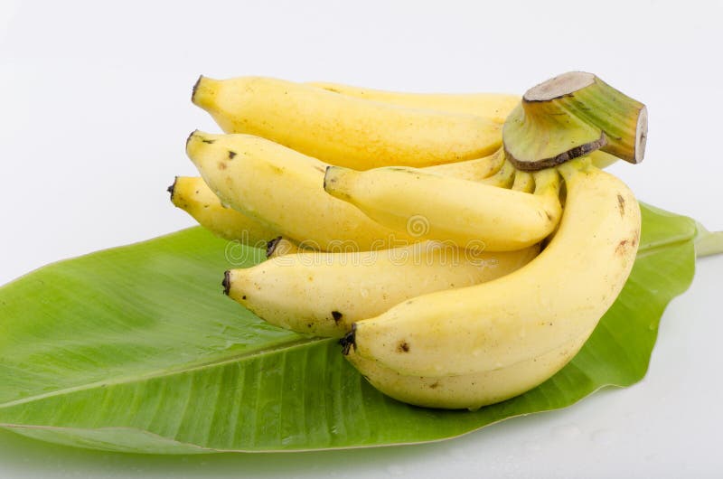 Banana Fresh Yellow Ripe Bananas Fruit Kela Banana-fruit Bunch Heap  Cavendish Musa Tropical Organic Food Closeup View Image Photo Stock Image -  Image of genus, musa: 259036975