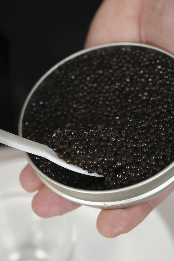 Servizio Caviale In Acciaio Inox 18/10 - Elegante E Lavabile In Lavastoviglie - Foto 6