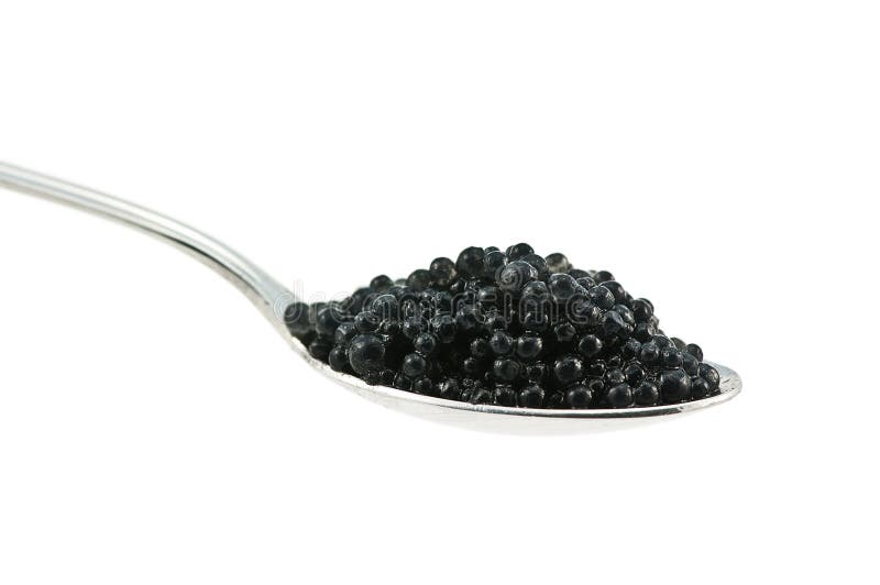 Caviar stock photo. Image of animal, seafood, caviar - 13548426
