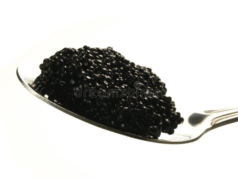 Caviar appetizer, closeup stock image. Image of prepared - 27047255