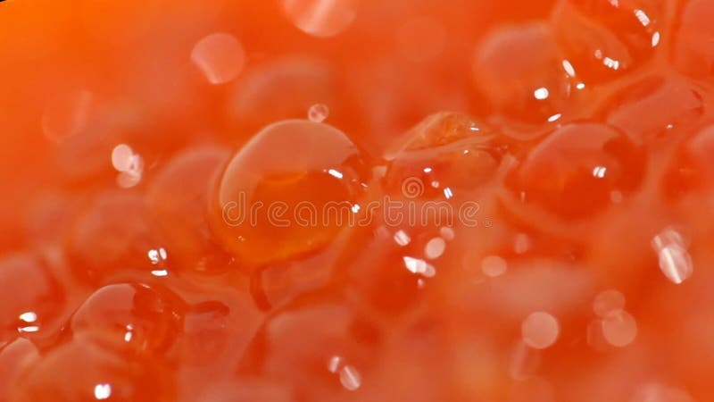 Caviar vermelho Macro