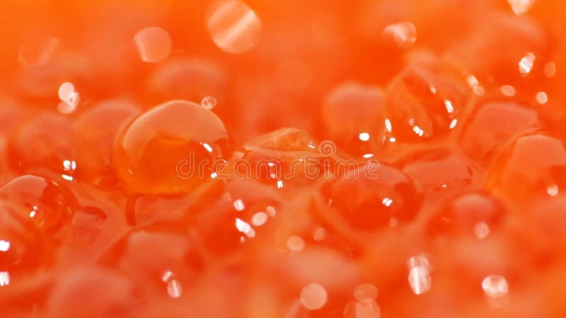 Caviar vermelho Macro