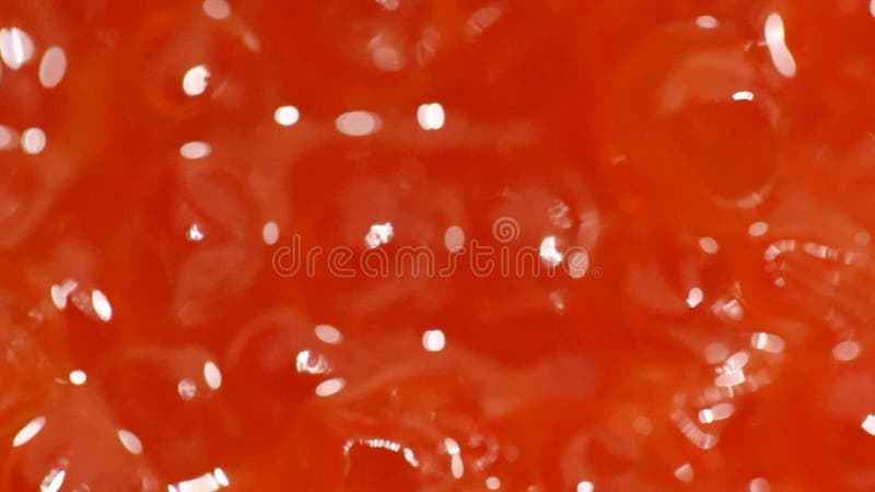 Caviar vermelho Macro