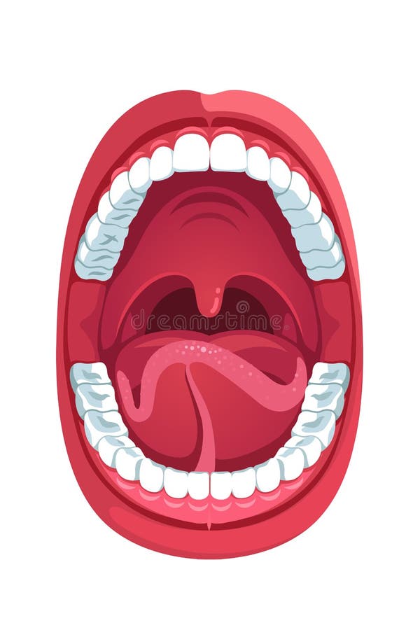 344.500+ Boca Ilustração de stock, gráficos vetoriais e clipart