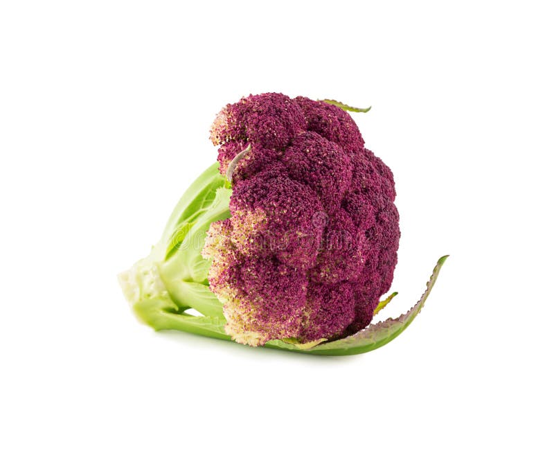 Cavolfiore viola isolato su bianco immagini stock libere da diritti Cavolfiore viola isolato su bianco immagini stock libere da diritti