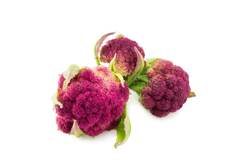 Cavolfiore viola isolato su bianco immagini stock Cavolfiore viola isolato su bianco immagini stock