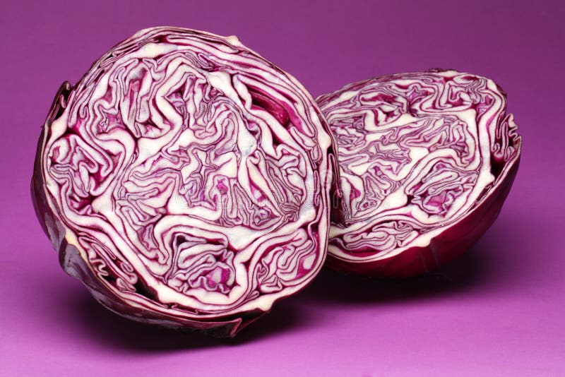 Cavolo viola. immagine stock libera da diritti Cavolo viola. immagine stock libera da diritti