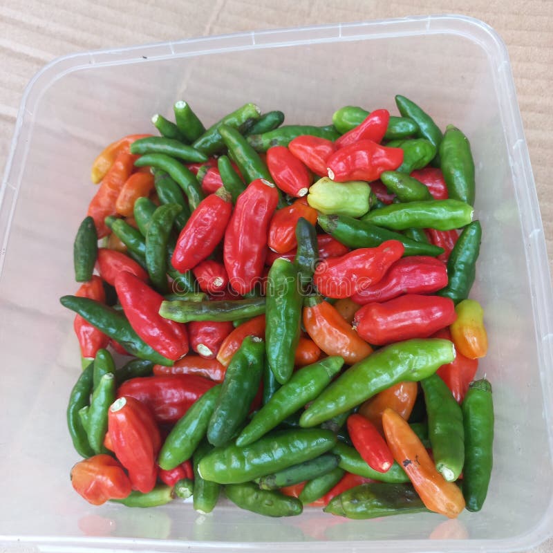 Cayenne Pepper is a Horticultural Plant of a Type of Vegetable that Has