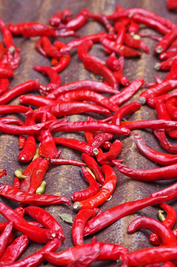 Cayenne peppers background stock photo. Image of nature 77336454