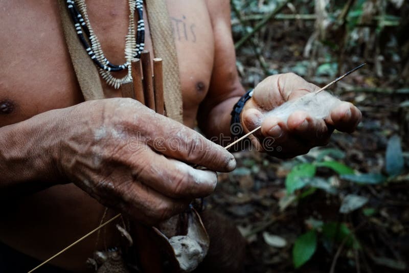 Caça tribal de Binan Tukum da pessoa idosa com seu filho para macacos na floresta úmida foto de stock Caça tribal de Binan Tukum da pessoa idosa com seu filho para macacos na floresta úmida foto de stock