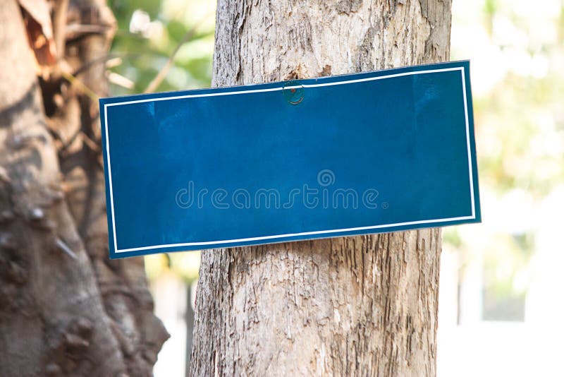 Caída en blanco azul de la muestra en el árbol para el texto de mensaje fotografía de archivo Caída en blanco azul de la muestra en el árbol para el texto de mensaje fotografía de archivo