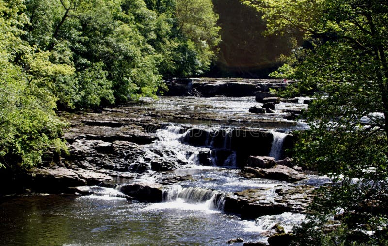 Caídas de Aysgarth imagen de archivo libre de regalías Caídas de Aysgarth imagen de archivo libre de regalías