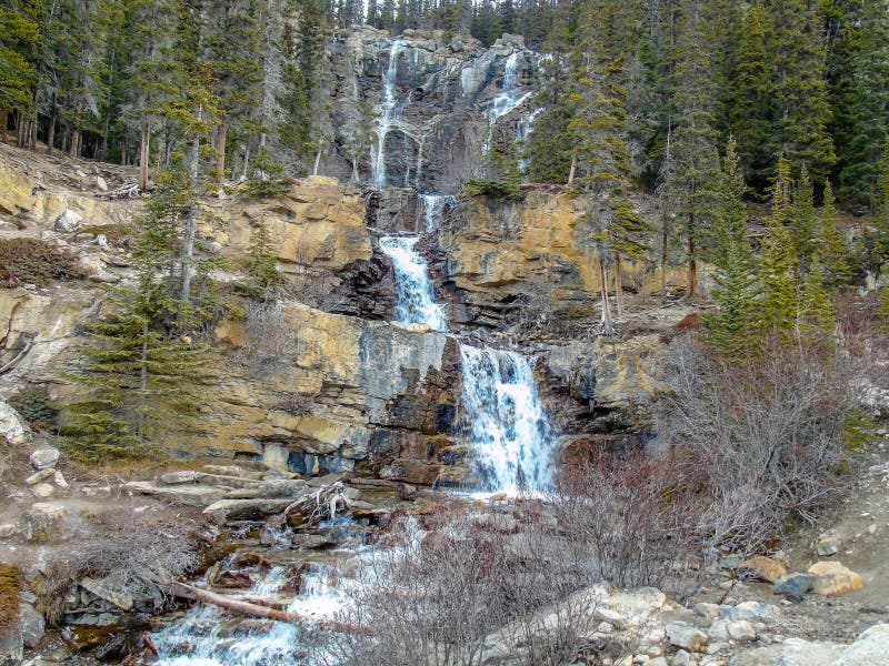 Caídas de la cala del enredo, Jasper National Park, Alberta, Canadá fotografía de archivo Caídas de la cala del enredo, Jasper National Park, Alberta, Canadá fotografía de archivo
