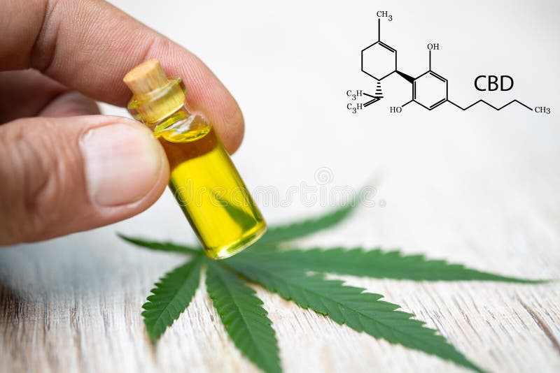 CBD-Hanf-Erdölerzeugnisse, Handholdingflasche des Cannabisöls gegen Marihuanaanlage Kräuterbehandlung, Alternativmedizin lizenzfreies stockfoto CBD-Hanf-Erdölerzeugnisse, Handholdingflasche des Cannabisöls gegen Marihuanaanlage Kräuterbehandlung, Alternativmedizin lizenzfreies stockfoto