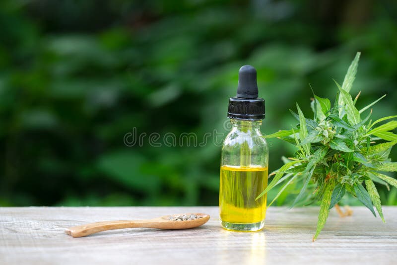 CBD-het uittreksel van de oliecannabis, de flessen van de Hennepolie en de hennep bloeien op een houten lijst, Medisch cannabisco stock foto CBD-het uittreksel van de oliecannabis, de flessen van de Hennepolie en de hennep bloeien op een houten lijst, Medisch cannabisco stock foto