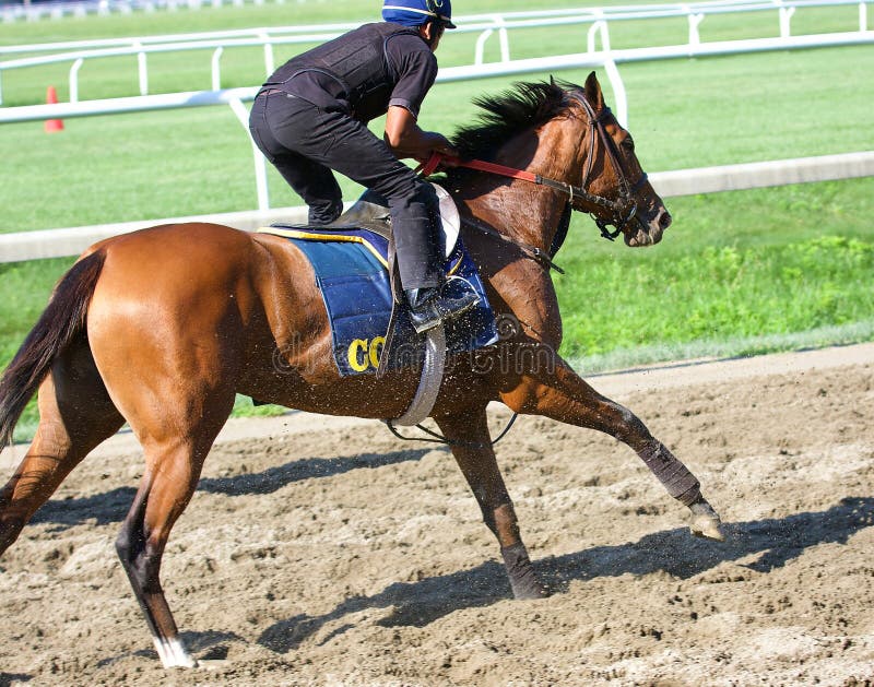 CC - inte Sabathia royaltyfria bilder CC - inte Sabathia royaltyfria bilder