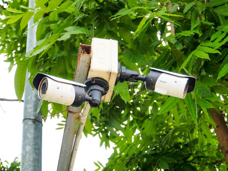 Cctv Camera Installed in the Garden Stock Image Image of monitoring