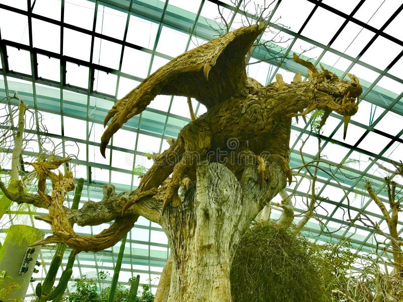 Ce dragon est fait de bois naturels d'arbre images stock Ce dragon est fait de bois naturels d'arbre images stock