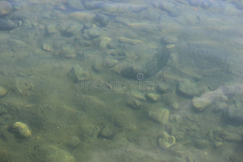 Ce Qui Se Trouve Au-dessous Photo stock - Image du créature, noir