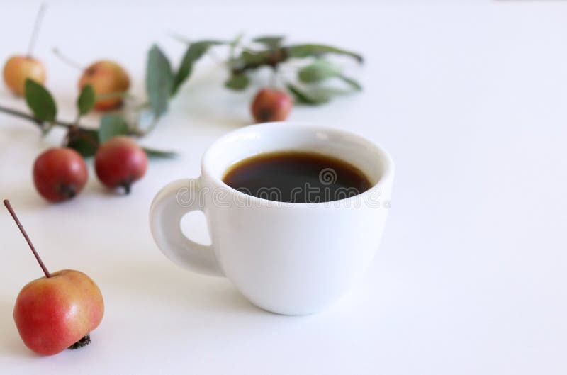 Ceașcă de cafea cu mere mici pe fond alb din lemn. spațiu gol pentru vizualizare plat în partea de sus pentru text. royalty free stock photography