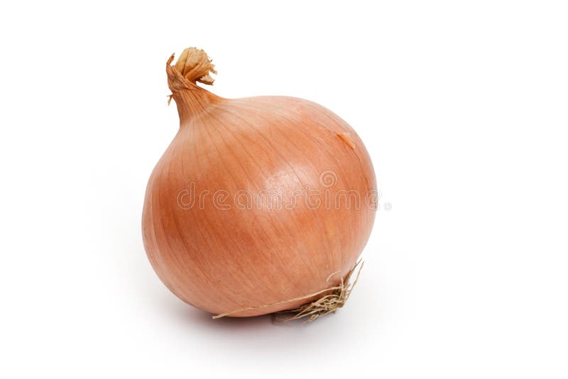 Cebola Cebola