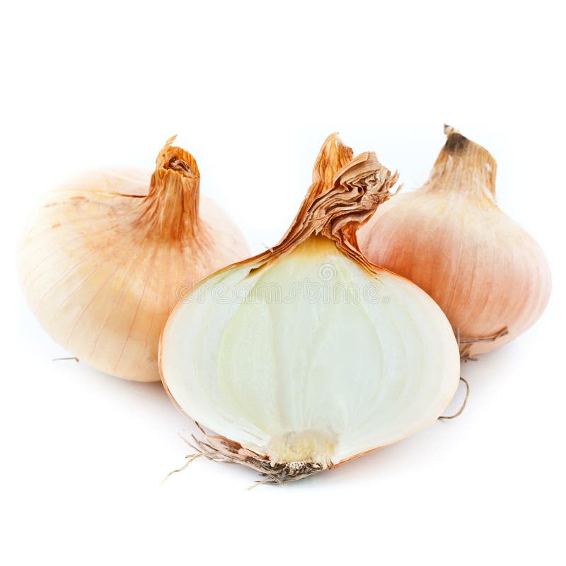 Shallots imagem de stock. Imagem de cebola, meio, naughty - 24677943