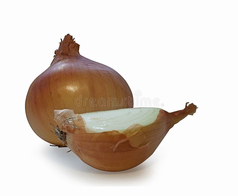 Cebola, parte superior, vista, branco, fundo, cebolas, amarelo, fresco, saudáveis, grupo, orgânico, vegetal, ingrediente, maduro, fotos de stock Cebola, parte superior, vista, branco, fundo, cebolas, amarelo, fresco, saudáveis, grupo, orgânico, vegetal, ingrediente, maduro, fotos de stock