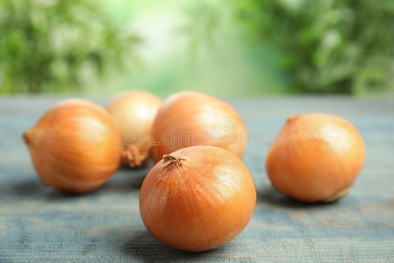 Fígado Frito Com Alho Em Prato De Fundo Cerâmico Imagem de Stock