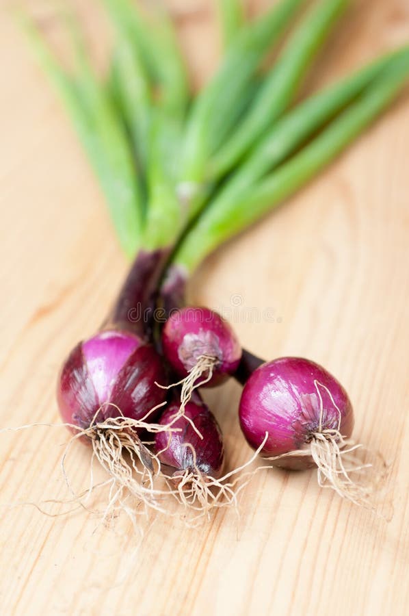 Cebolinhas roxas frescas imagens de stock