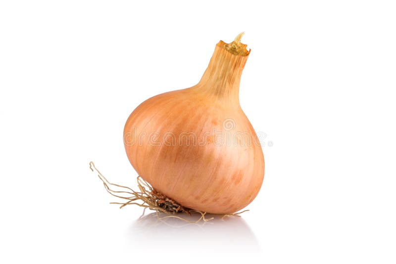 Cebolla amarilla nacional