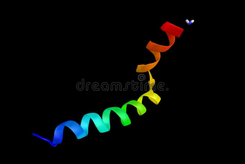 Cecropin, an antimicrobial peptide. A main part of the cell-free immunity of insects. 3d rendering royalty free stock photography