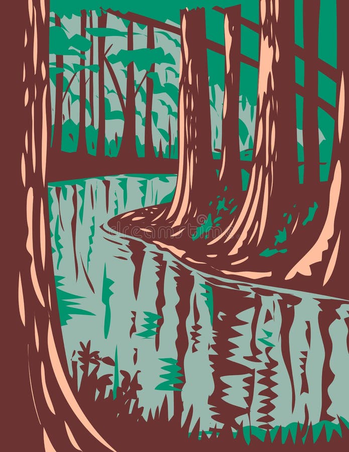 Cedar creek en el parque nacional de congaree en carolina del sur central estados unidos de américa wpa poster art