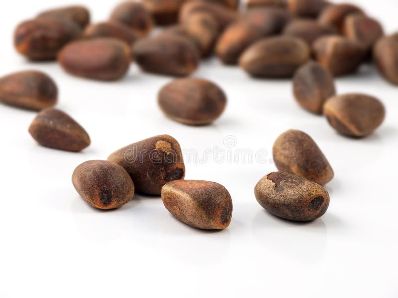 Cedar nuts