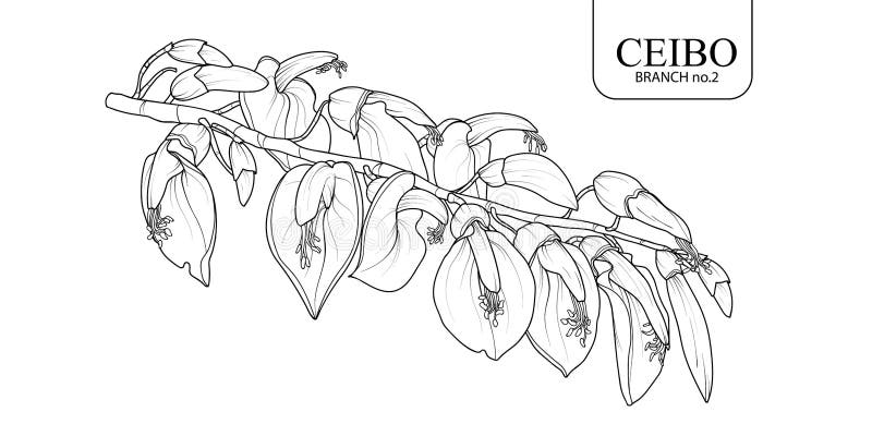 Ceibo Flower Stock Illustrations – 15 Ceibo Flower Stock Illustrations,  Vectors & Clipart - Dreamstime