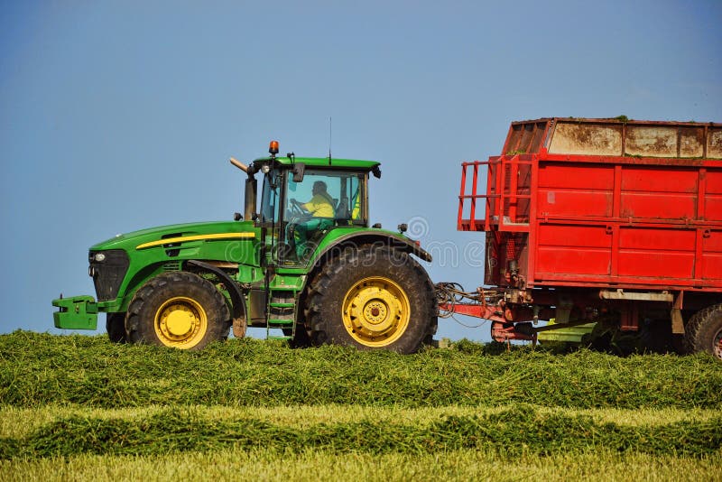 Ceifeira que descarrega em um reboque de trator noun A ceifeira de liga sega o campo Trator de cultivo que recolhe o monte de fen foto de stock Ceifeira que descarrega em um reboque de trator noun A ceifeira de liga sega o campo Trator de cultivo que recolhe o monte de fen foto de stock