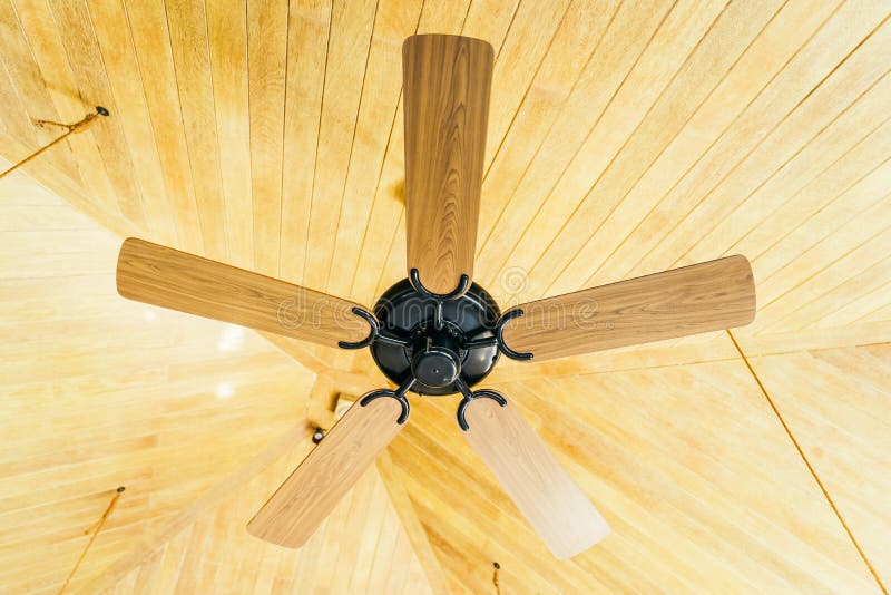 Ceiling Fan Decoration Interior of Room Stock Photo Image of indoors