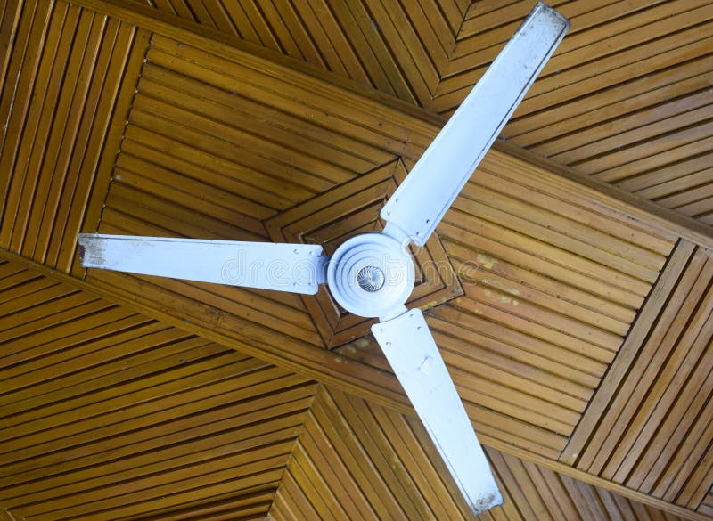 Ceiling Fan Hanging on a Wooden Ceiling Stock Photo Image of hanging, wooden 219076420
