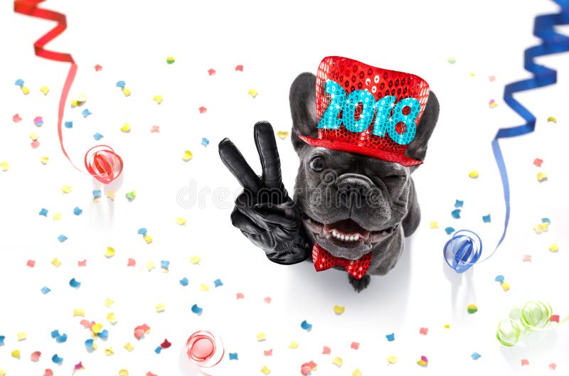 French bulldog dog celebrating new years eve with owner ,isolated on serpentine streamers and confetti , with victory, peace fingers. French bulldog dog celebrating new years eve with owner ,isolated on serpentine streamers and confetti , with victory, peace fingers