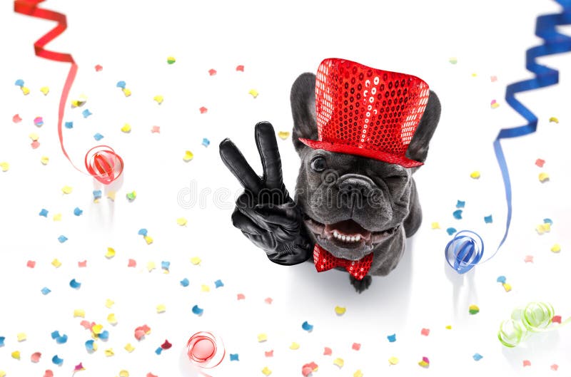 French bulldog dog celebrating new years eve with owner , on serpentine streamers and confetti , with victory, peace fingers. French bulldog dog celebrating new years eve with owner , on serpentine streamers and confetti , with victory, peace fingers