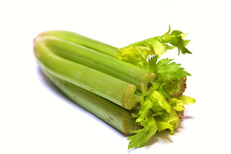 Celery